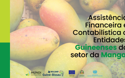 Guiné Bissau – Assistência Financeira e Contabilística a Entidades Guineenses do setor da Manga
